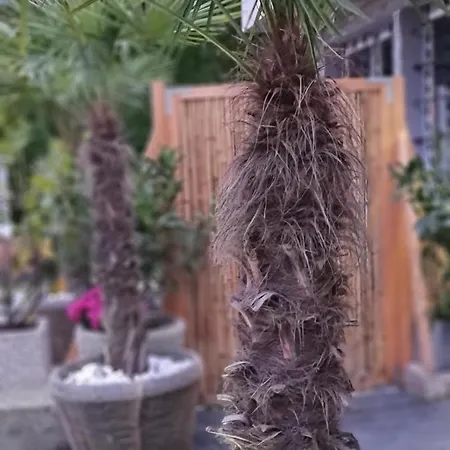 Bambu @ Ossiachersee Дом отдыха