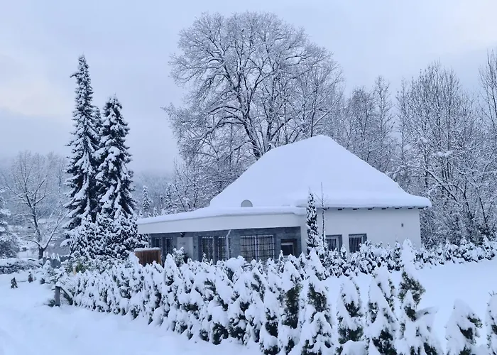 Bambu @ Ossiachersee *